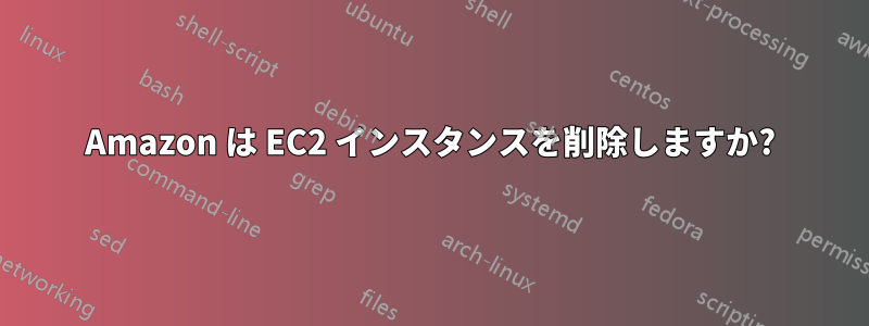 Amazon は EC2 インスタンスを削除しますか?