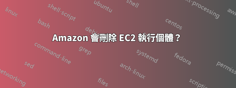 Amazon 會刪除 EC2 執行個體？