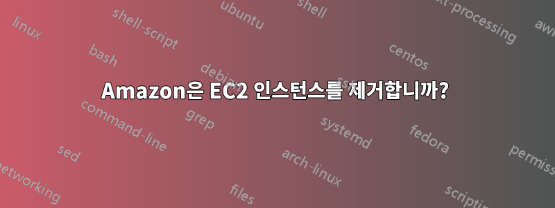 Amazon은 EC2 인스턴스를 제거합니까?