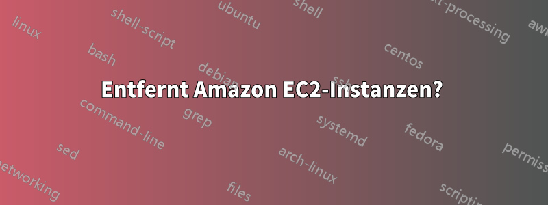 Entfernt Amazon EC2-Instanzen?