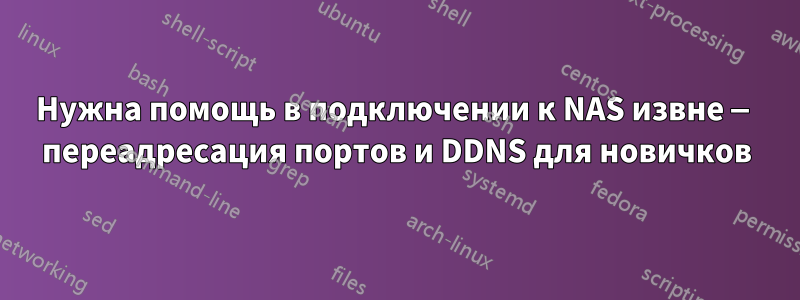 Нужна помощь в подключении к NAS извне — переадресация портов и DDNS для новичков