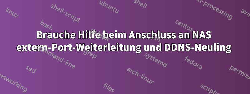 Brauche Hilfe beim Anschluss an NAS extern-Port-Weiterleitung und DDNS-Neuling