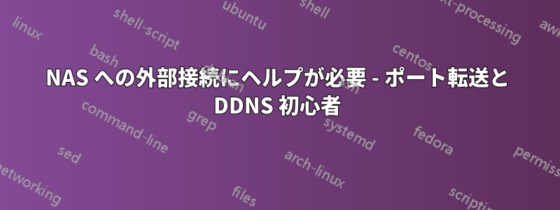 NAS への外部接続にヘルプが必要 - ポート転送と DDNS 初心者