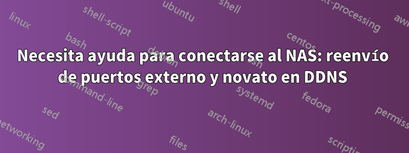 Necesita ayuda para conectarse al NAS: reenvío de puertos externo y novato en DDNS