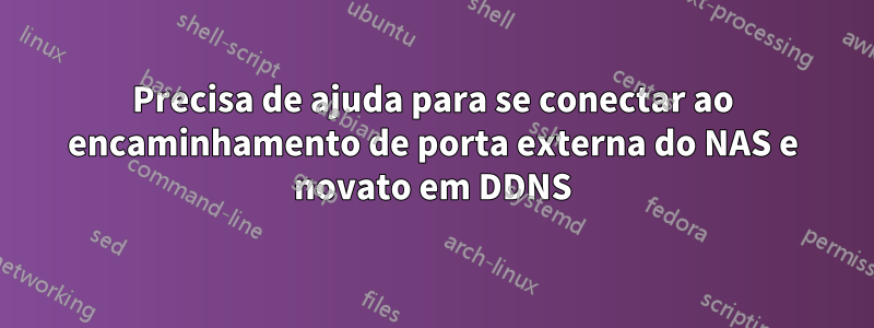 Precisa de ajuda para se conectar ao encaminhamento de porta externa do NAS e novato em DDNS