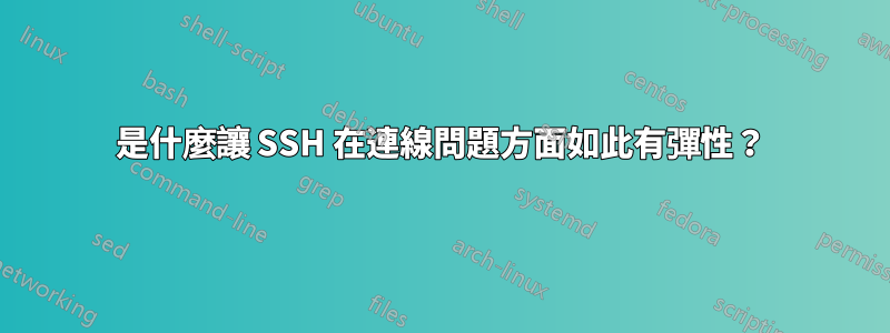 是什麼讓 SSH 在連線問題方面如此有彈性？