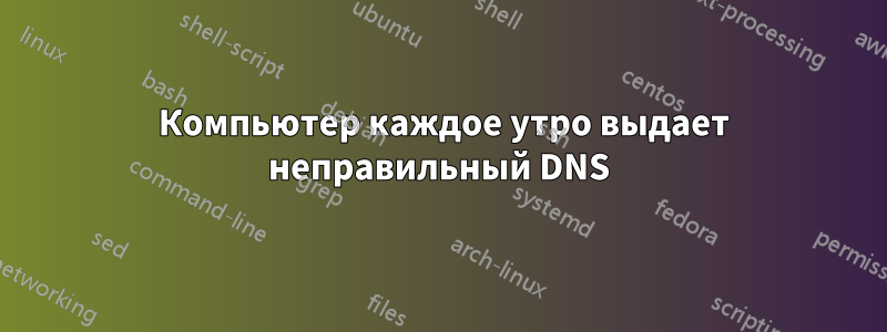 1 Компьютер каждое утро выдает неправильный DNS