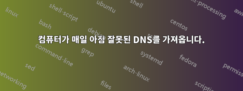 1 컴퓨터가 매일 아침 잘못된 DNS를 가져옵니다.