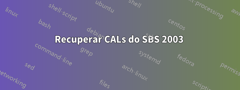 Recuperar CALs do SBS 2003