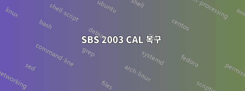 SBS 2003 CAL 복구