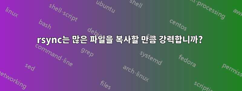 rsync는 많은 파일을 복사할 만큼 강력합니까?