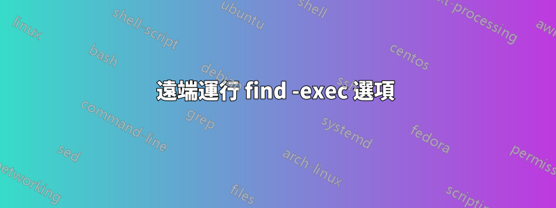 遠端運行 find -exec 選項