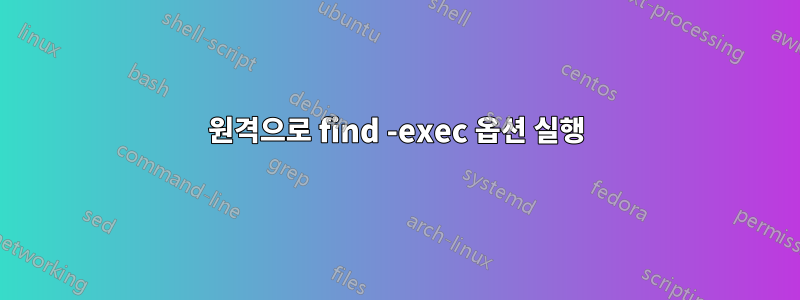 원격으로 find -exec 옵션 실행