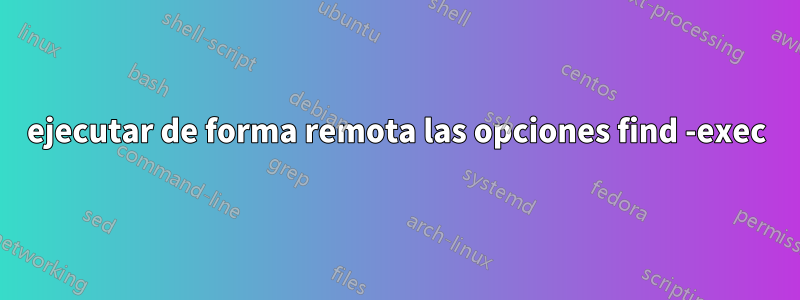 ejecutar de forma remota las opciones find -exec