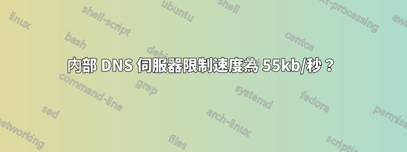 內部 DNS 伺服器限制速度為 55kb/秒？