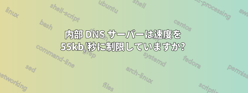 内部 DNS サーバーは速度を 55kb/秒に制限していますか?