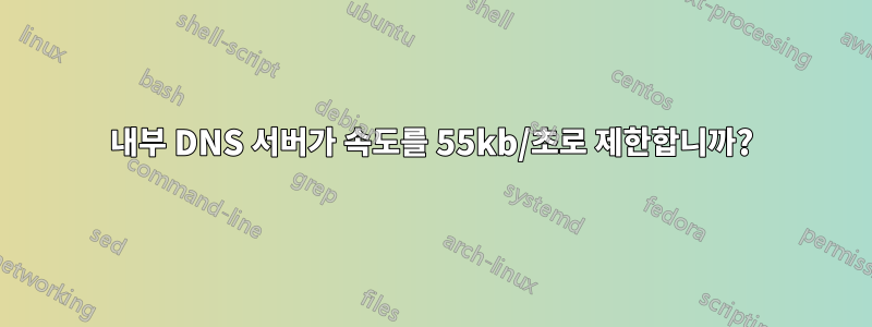 내부 DNS 서버가 속도를 55kb/초로 제한합니까?