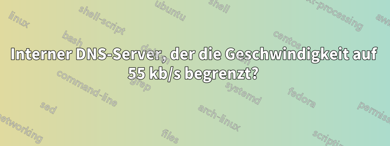 Interner DNS-Server, der die Geschwindigkeit auf 55 kb/s begrenzt?