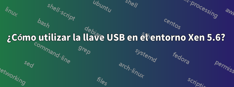 ¿Cómo utilizar la llave USB en el entorno Xen 5.6?