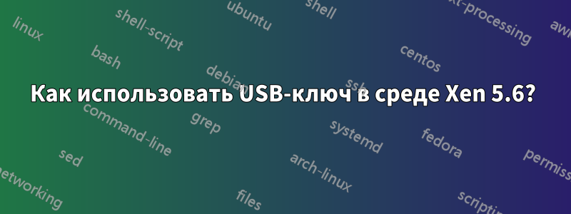 Как использовать USB-ключ в среде Xen 5.6?