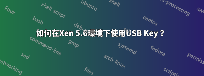 如何在Xen 5.6環境下使用USB Key？