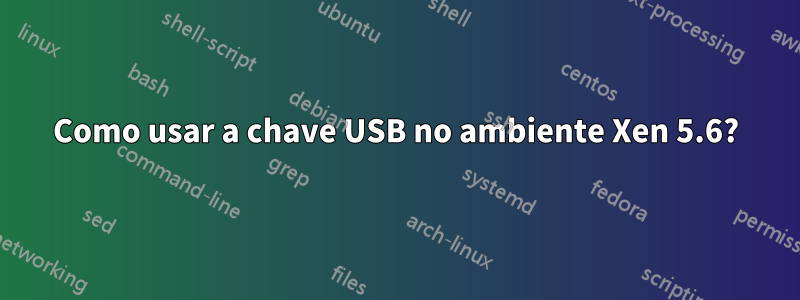 Como usar a chave USB no ambiente Xen 5.6?