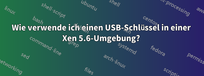 Wie verwende ich einen USB-Schlüssel in einer Xen 5.6-Umgebung?