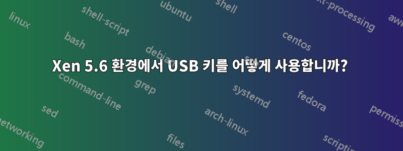 Xen 5.6 환경에서 USB 키를 어떻게 사용합니까?