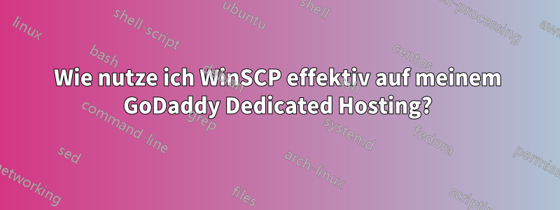 Wie nutze ich WinSCP effektiv auf meinem GoDaddy Dedicated Hosting?