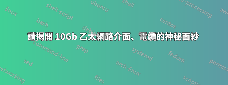 請揭開 10Gb 乙太網路介面、電纜的神秘面紗