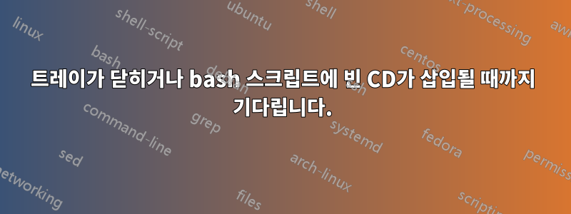 트레이가 닫히거나 bash 스크립트에 빈 CD가 삽입될 때까지 기다립니다.