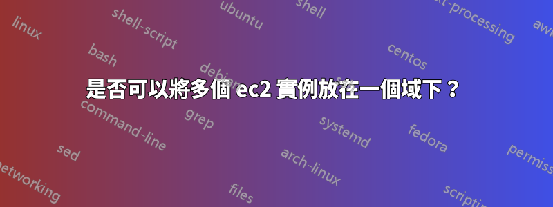 是否可以將多個 ec2 實例放在一個域下？