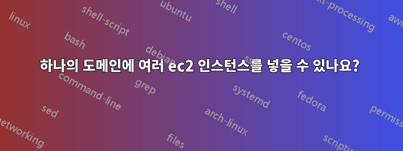 하나의 도메인에 여러 ec2 인스턴스를 넣을 수 있나요?