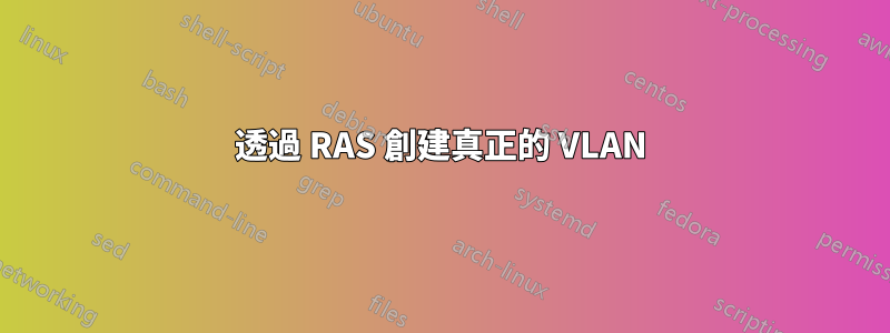 透過 RAS 創建真正的 VLAN