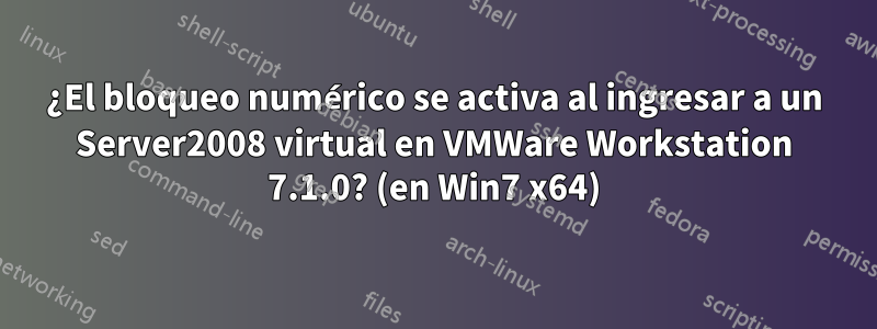 ¿El bloqueo numérico se activa al ingresar a un Server2008 virtual en VMWare Workstation 7.1.0? (en Win7 x64)