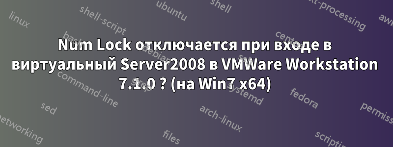 Num Lock отключается при входе в виртуальный Server2008 в VMWare Workstation 7.1.0 ? (на Win7 x64)