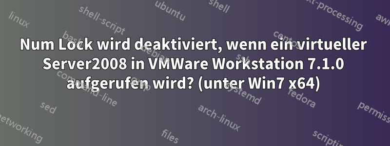 Num Lock wird deaktiviert, wenn ein virtueller Server2008 in VMWare Workstation 7.1.0 aufgerufen wird? (unter Win7 x64)