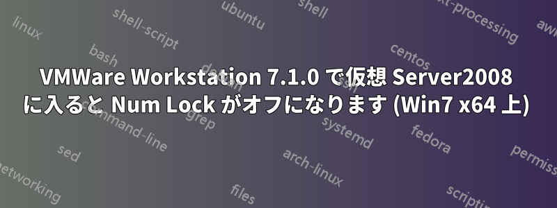 VMWare Workstation 7.1.0 で仮想 Server2008 に入ると Num Lock がオフになります (Win7 x64 上)