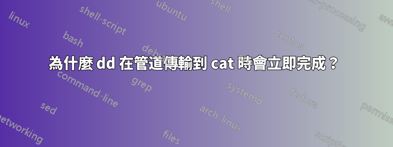 為什麼 dd 在管道傳輸到 cat 時會立即完成？