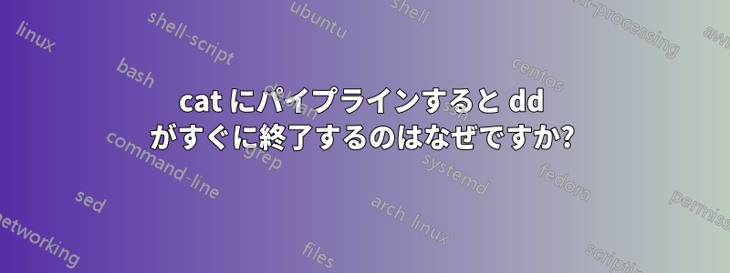 cat にパイプラインすると dd がすぐに終了するのはなぜですか?