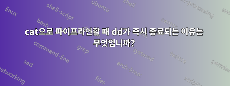 cat으로 파이프라인할 때 dd가 즉시 종료되는 이유는 무엇입니까?