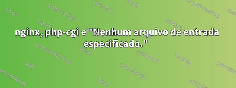 nginx, php-cgi e "Nenhum arquivo de entrada especificado."