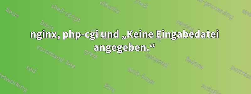 nginx, php-cgi und „Keine Eingabedatei angegeben.“