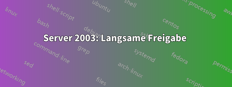 Server 2003: Langsame Freigabe