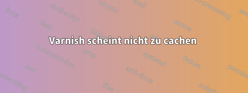 Varnish scheint nicht zu cachen