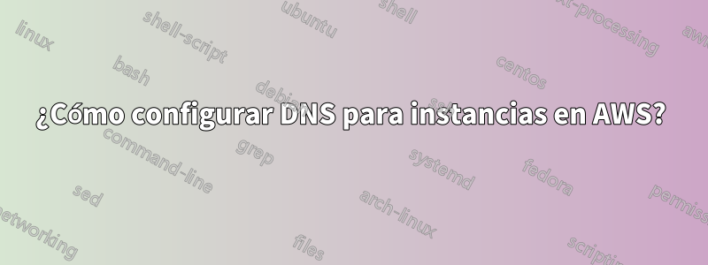 ¿Cómo configurar DNS para instancias en AWS?