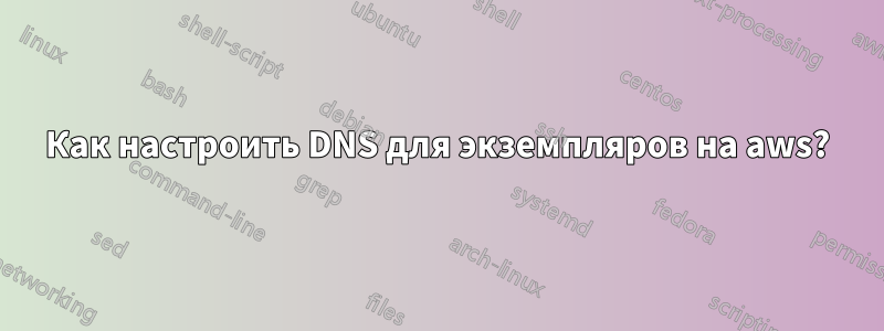 Как настроить DNS для экземпляров на aws?