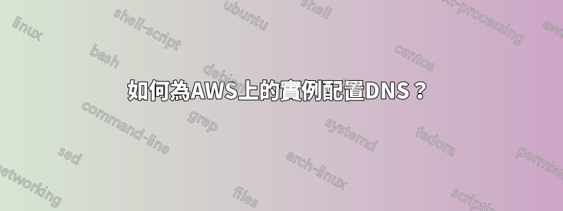 如何為AWS上的實例配置DNS？