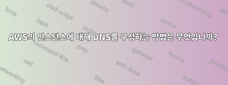 AWS의 인스턴스에 대해 DNS를 구성하는 방법은 무엇입니까?