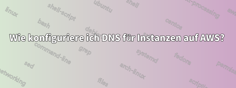 Wie konfiguriere ich DNS für Instanzen auf AWS?